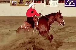 FOREVER YOUNG: At 79 years old, Pat Roberts is still showing and riding horses. - PHOTO COURTESY OF PAT ROBERTS