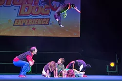 PLAY FETCH!: One of Chris Perondi’s pups jumps over a row of humans to catch a Frisbee during a show. - PHOTO COURTESY OF CAL POLY PERFORMING ARTS CENTER