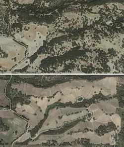 OAKED: In preparation for their Adelaida Hills vineyard, Justin Vineyards and Winery cleared 100 acres—54 of which were densely wooded—of native oak woodland in 2011. These satellite images from September 2010 and August 2013, respectively, show the before and after of the property. The contracted arborist later sued the company for breach of contract. - SCREENSHOTS COURTESY OF GOOGLE EARTH