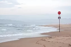 REMNANTS: A stop sign still stands on the beach, even though off-highway traffic was banned after the Sierra Club sued State Parks over an incident involving a vehicle killing an endangered species in the area. - PHOTO BY CAMILLIA LANHAM