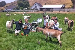 PET SOUNDS?: High-energy swing and surf rock band Van Goat plays Frog and Peach on Dec. 29. - PHOTO COURTESY OF VAN GOAT