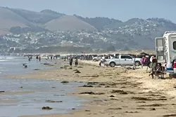A RECKONING, MAYBE: The Oceano Dunes State Vehicular Recreation Area is on the agenda for the Jan. 12 California Coastal Commission meeting in SLO. Up for debate is how best to continue striking a balance between the ecosystem, area residents, and recreation lovers. - FILE PHOTO BY STEVE E. MILLER