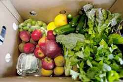 DON’T WASTE!: August is Ugly Food Month at the Bethel Lutheran Church in Templeton, where a variety of speakers are lined up to address the congregation each Sunday on topics like gleaning and drought farming, culminating in an ugly food banquet on Aug. 28. All the services are open to the public. - FILE PHOTO BY STEVE E. MILLER