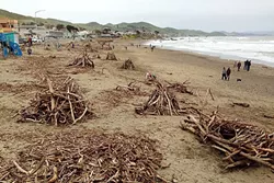 DRIFTWOOD GALORE: Driftwood stirred up by the recent storms at the Cayucos pier was pushed into nice neat piles. - PHOTO BY PETER JOHNSON