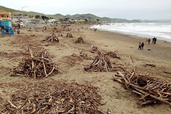 DRIFTWOOD GALORE:  Driftwood stirred up by the recent storms at the Cayucos pier was pushed into nice neat piles. - PHOTO BY PETER JOHNSON