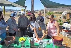 FARMING: Teresa Lees teaches her campers at FARMGIRLS Summer Camp to work with and care for harvesting land. - PHOTO COURTESY OF TERESA LEES