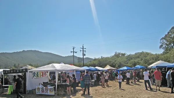 A GROWING COMMUNITY Thirty-seven local growers and 26 extractors competed in the first SLO Cannabis Cup on July 22, hosted by nonprofit SLO County NORML. - PHOTOS BY ERICA HUDSON