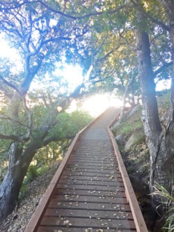 STURDY PATH Cerro San Luis' new M trail features several wooden footbridges as it winds up to steep terrain. - PHOTO BY PETER JOHNSON