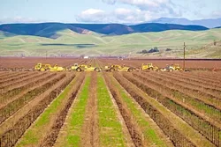 WATER DISTRICTS An election to form a new water district near Paso Robles, the Estrella-El Pomar-Creston Water District, is coming to a close. - FILE PHOTO BY JAYSON MELLOM