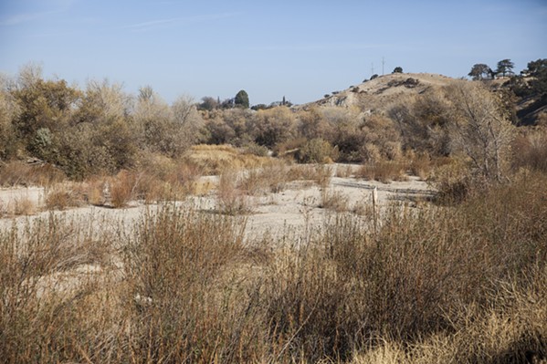 NO ONE IN SIGHT Since the city of Paso Robles staged a clean-out of several homeless encampments in the Salinas Riverbed in 2016, police have routinely patrolled the area to keep it clear. - PHOTO BY JAYSON MELLOM