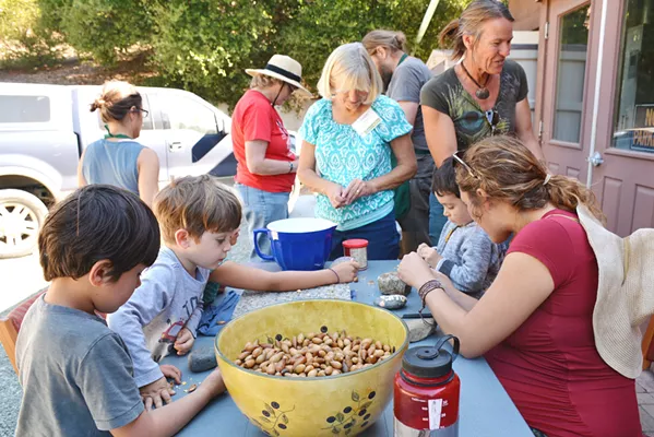GET THAT NUT Acorn processing time means plenty of socializing at the Chumash Kitchen held at the SLO Botanical Garden. An upcoming cooking class is slated for Feb. 3 and promises to get locals in touch with native herbs and how to incorporate them into modern techniques. - PHOTO COURTESY OF SLO BOTANICAL GARDEN