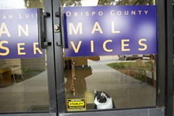 NO AGREEMENT Despite two meetings with SLO County, the cities of Paso Robles and Atascadero still object to the costs of a new countywide animal shelter and plan to build their own for North County. - FILE PHOTO BY JAYSON MELLOM