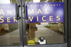 OLD PROJECT, NEW TERMS Paso Robles and Atascadero appear poised to rejoin a regional animal shelter project after the county promised to shoulder $1 million more in construction costs and reduce expected operating expenses at the shelter. - FILE PHOTO BY JAYSON MELLOM