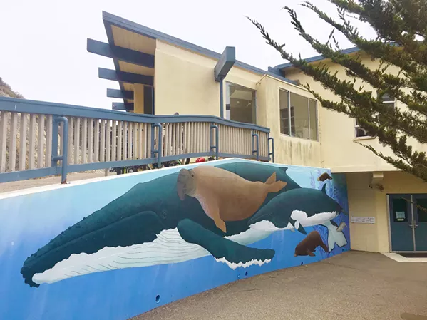 WHALES AND SEALS AND OTTERS, OH MY! Murals both outside and inside the museum offer beautifully rendered wildlife scenes. - PHOTO BY ASHLEY LADIN