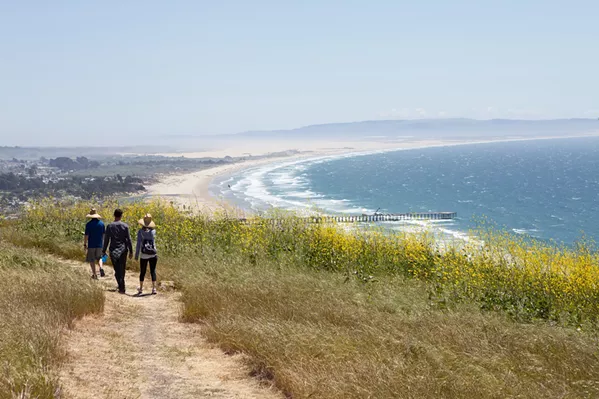 CLOSE TO NATURE Since 2014, the Land Conservancy of San Luis Obispo County has been working towards opening the Pismo Preserve to the public. - PHOTO COURTESY OF THE LAND CONSERVANCY OF SLO COUNTY