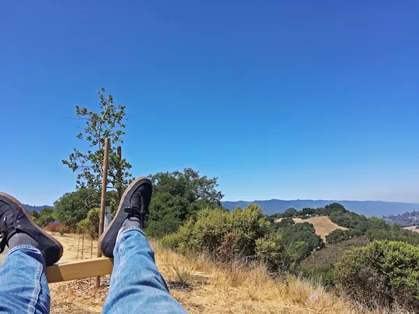 FOOTHILLS Palo Alto's Foothills Park is a beautiful natural oasis with views overlooking Silicon Valley. - PHOTO BY PETER JOHNSON