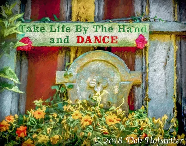 JUST DANCE This gardenscape photo was inspired by photographer Deb Hofstetter's love of dancing while she listens to music standing up. - PHOTO BY DEB HOFSTETTER