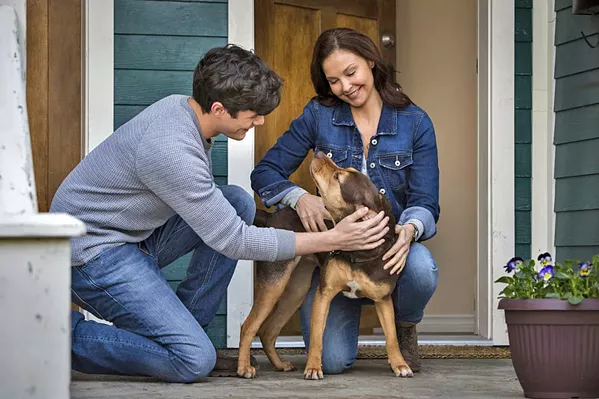 FAMILIAR BUT SWEET (Left to right) Lucas (Jonah Hauer-King), Bella (Shelby the dog voiced by Bryce Dallas Howard), and Terri (Ashley Judd) make a home together in the family adventure, A Dog's Way Home. - PHOTO COURTESY OF COLUMBIA PICTURES CORPORATION