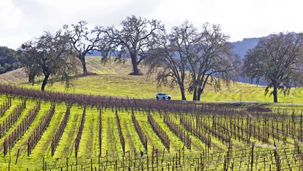 DRILL, BABY, DRILL? Amid anxiety about the groundwater conditions of the Adelaida area (pictured), SLO County is looking at how it can expand its authority over well permitting. - FILE PHOTO BY JAYSON MELLOM