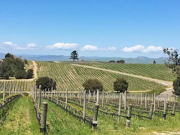VIEW FROM THE TOP Presqu'ile winery has great view of the Santa Maria Valley and great wine to match. - PHOTOS BY CHRIS MCGUINNESS