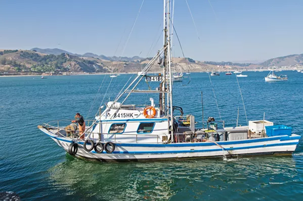 SEASON OVER The commercial Dungeness crab season closed April 15—three months early—on the Central Coast, and across California as part of a settlement over the industry's role in whale entanglements. - FILE PHOTO BY JAYSON MELLOM