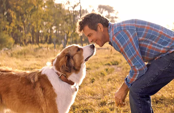 PROMISE On his deathbed, Bailey (left, voiced by Josh Gad) promises his "boy" Ethan (Dennis Quaid) to return to care for Ethan's granddaughter, in A Dog's Journey. - PHOTO COURTESY OF DREAMWORKS