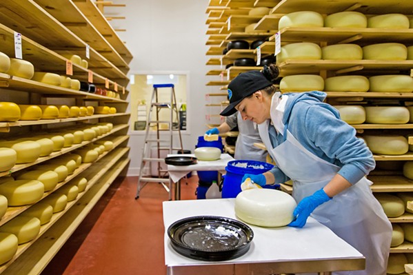 DEEP BREATHS Shelby Van Wagner (above) paints a plastic coating on the rind of a Central Coast Creamery Holey Cow round. It will allow the cheese to breathe and prevents moisture from escaping too rapidly. - PHOTO BY JAYSON MELLOM