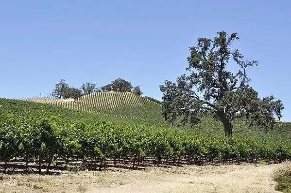 SETTING RECORDS San Luis Obispo County's agricultural industry amassed $1.04 billion in total crop values in 2018—an all-time high. - FILE PHOTO