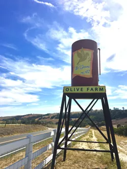 NOT COMPLIANT Karen Tallent believed her son-in-law created the best sign for her farm, but the county claims it isn't up to code. - PHOTO BY KAREN GARCIA