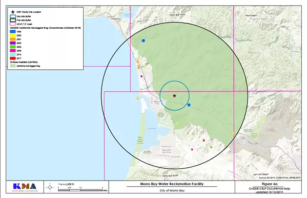 PROTECTING WILDLIFE Threats to the California red-legged frog could slow down the start of construction on Morro Bay's wastewater facility. - IMAGE COURTESY OF THE CITY OF MORRO BAY