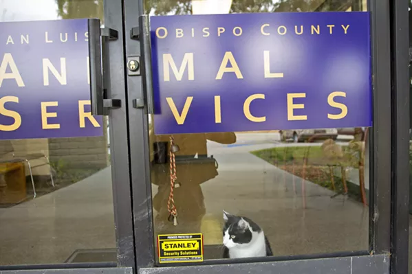 PRICEY Construction bids on SLO County's new animal shelter project came in nearly $7 million above estimates. - FILE PHOTO JAYSON MELLOM