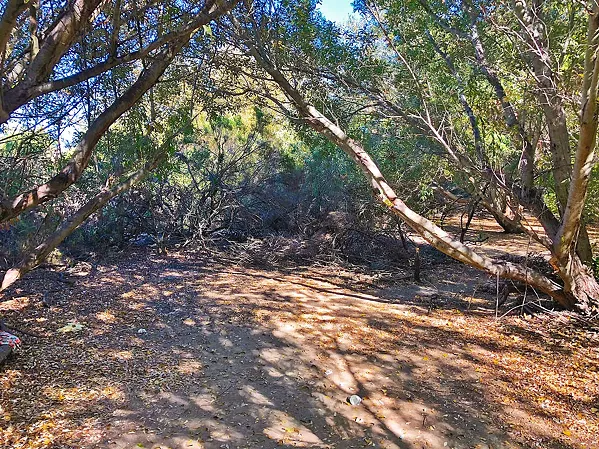 IMMEDIATELY AFTER Residents of the Higuera bridge encampment in SLO collected and disposed of roughly 6.8 tons of trash and 1,600 syringes during the four-week Blue Bag pilot effort. - PHOTO COURTESY OF TIM WAAG