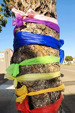 COMMUNITY DEBATE The city of Grover Beach called a time-out on community members arguing over placing ribbons on city-owned trees.s - SCREENSHOT FROM FACEBOOK