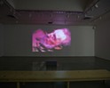 Cuesta College screens avant garde video art in new exhibit