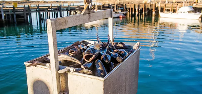 Fishermen voice concerns over Morro Bay wind farm