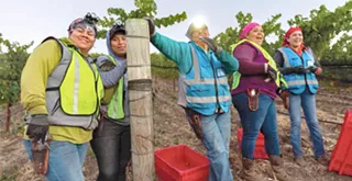 Matt Kettmann and Macduff Everton go behind the scenes of regional winemaking with new book, <b><i>Vines &amp; Vision</i></b>