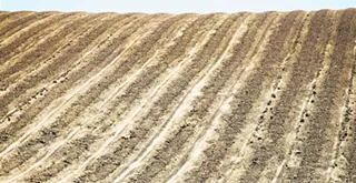 Winners and losers: SLO County supervisors are hoping new rules for the Paso Robles water basin will give smaller farmers more flexibility