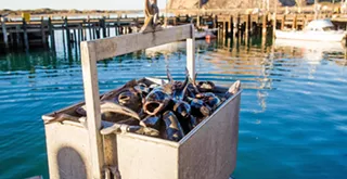 Fishermen voice concerns over Morro Bay wind farm