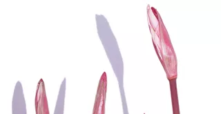 Winning Images 2021: Check out our annual photography contest's winners