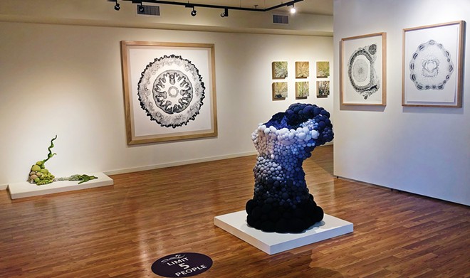 I THINK, THEREFORE Sculptor and illustrator Sommer Roman uses a mixture of media to create her unconventional, hybridized sculptures, described as "beings that exist somewhere between real and imaginary." Roman's reclaimed fabric piece, Sighting no. 179, is pictured at the center of this installation.