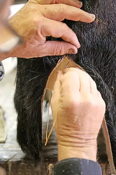 A FULL HEAD: After the hide is properly placed over the form, the split parts of the hide are stitched together using fishing line. - PHOTO BY DYLAN HONEA-BAUMANN