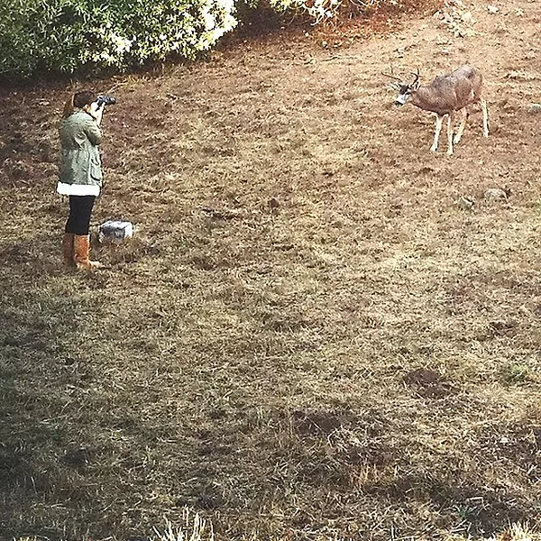 ARMS LENGTH : Photographer Coral Kessler gets pretty darn close to her wild deer subjects, as seen in this photo taken by her husband. - PHOTO COURTESY OF CORAL KESSLER