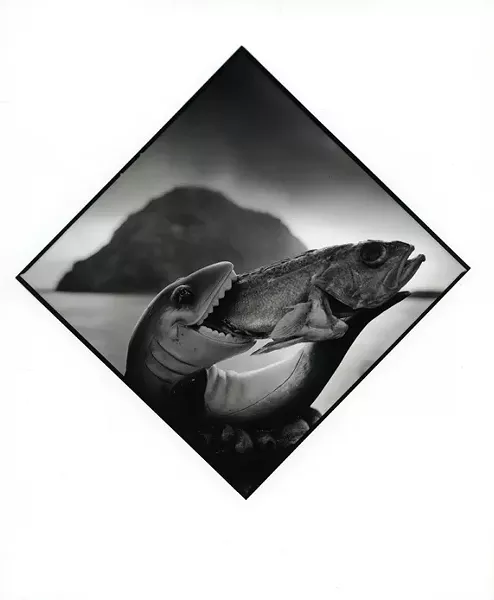 UNDER THE BLACKLIGHT: Here, Cambria resident Arthur Tress photographs one fish eating another fish in one of the 100 images chosen for his new exhibit on scenes surrounding Morro Rock. - PHOTO BY ARTHUR TRESS