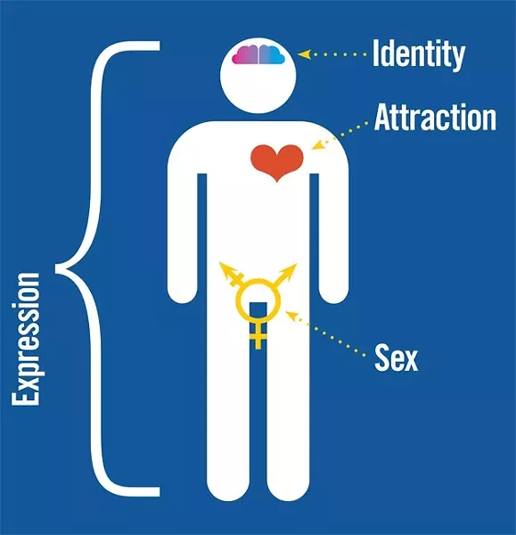 GENDER EXPRESSION: This infographic, inspired by information from Sam Killermann’s blog, itspronouncedmetrosexual.com, helps illustrate the way people express their gender and sexual preferences. - INFOGRAPHIC BY HEATHER WALTER