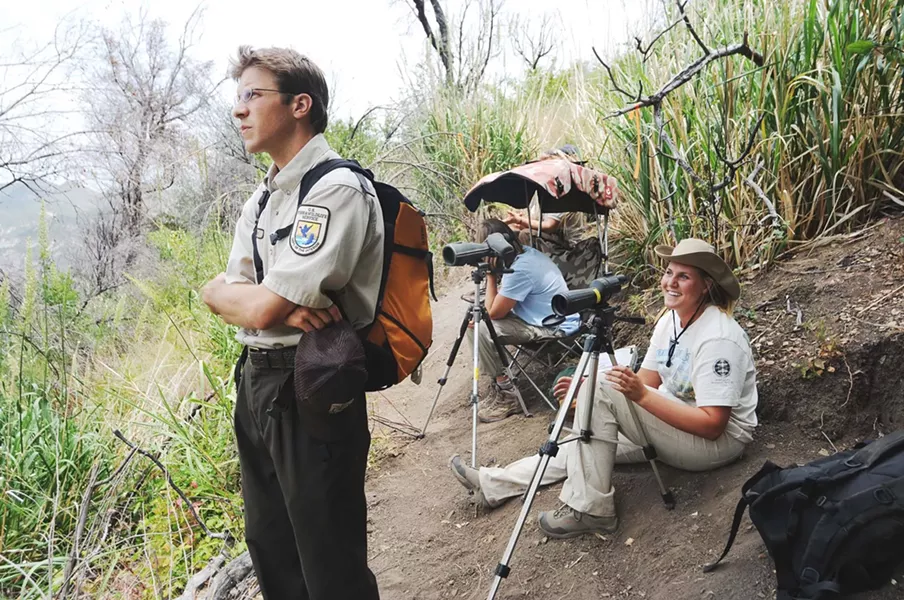 EAGLE EYE : U.S. Fish and Wildlife’s Michael Woodbridge peers across a canyon toward a condor nest with volunteers from the nest-guarding program. - PHOTO BY PAUL WELLMAN