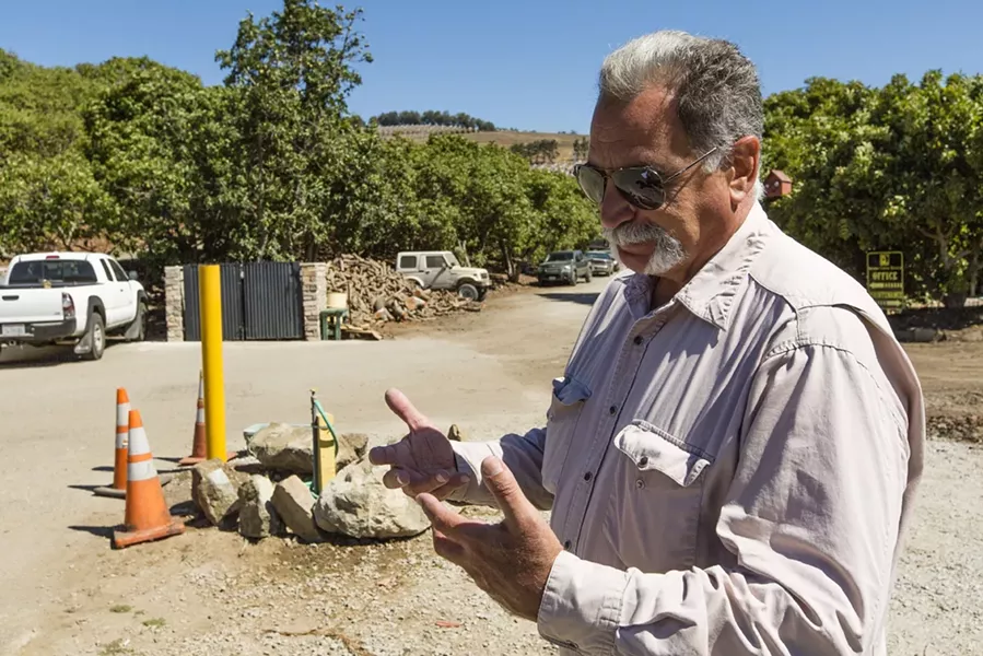 MAN WITH A PLAN: General Manager at Morro Creek Ranch, Alan Cavaletto, discusses his plan to cut water usage by stumping the majority of their avocado trees. - PHOTO BY HENRY BRUINGTON