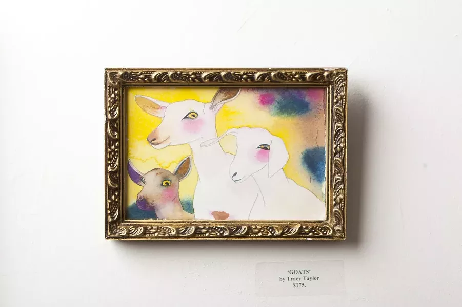 MAAA-AAA : “She’s like a funky kind of photographer,” Goyette said of Taylor. Pictured is Goats. The brown one is definitely the cutest. - PHOTO BY STEVE E. MILLER