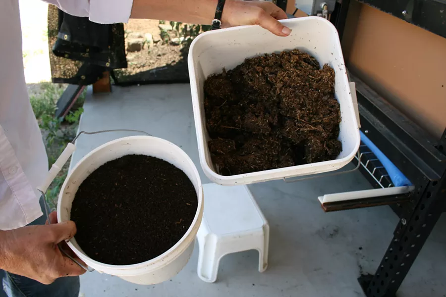 GARDEN ALCHEMY: Christie demonstrates the difference between her starting compost (right) and the end product (left): Black Diamond Vermicompost. Brown and crumbly, the initial compost is fed to hundreds of thousands of worms, which travel through the muck and leave beneficial worm poop, or castings. The result is a dark, rich soil packed with plant-loving nutrients. - PHOTO BY HAYLEY THOMAS