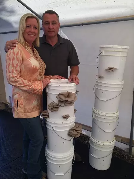 FUNGAL COUPLE: Jiri Pravec and his wife, Lisa, grow with robust oyster mushrooms on their Edna Valley farm. Pravec’s labor of love, Arboreal Bounty Fine Gourmet Mushrooms, is ready to ramp into full production before summer’s end. - PHOTO COURTESY OF JIRI PRAVEC