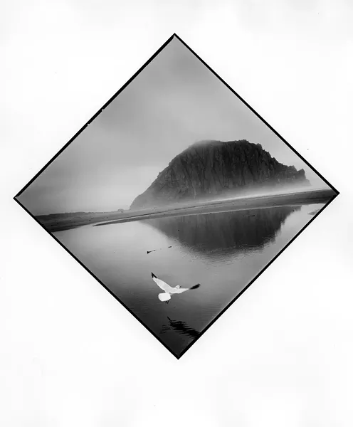 UNEARTHING THE ROCK: Since 2009, Tress has been taking daily photographs of the local flora, fauna, and people of Morro Bay. SLOMA chose 100 out of nearly 25,000 images taken by Tress. - PHOTO BY ARTHUR TRESS